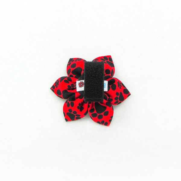 Paws Red & Black Flower