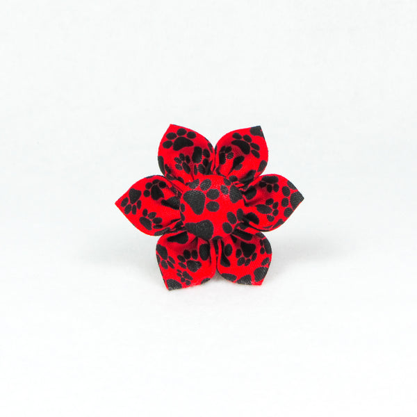 Paws Red & Black Flower